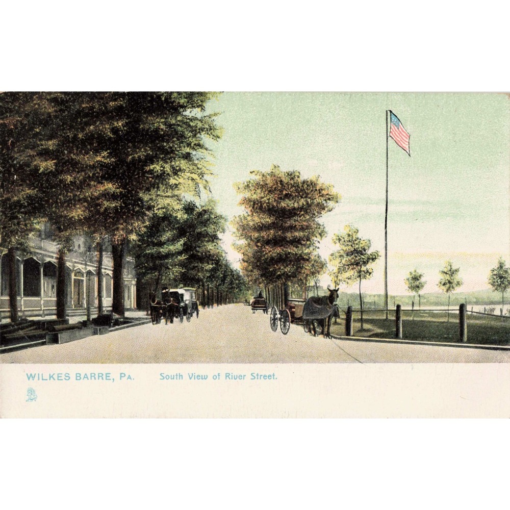 Wilkes Barre Pennsylvania PA Postcard South View River Street Raphael Tuck c1910
